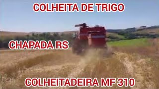 Colheita de trigo MF 310