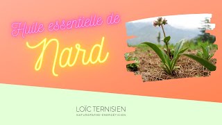 Propriétés de l'huile essentielle de Nard