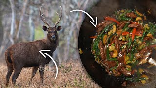 Sambar venison stir fry recipe | wild game cooking