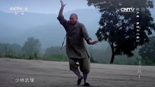 Shaolin Wuseng ShiYanAo