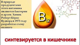 Витамин В12 синтезируется в КИШЕЧНИКЕ у СЫРОЕДОВ, ВЕГАНОВ. МИКРОФЛОРА кишечника / Фролов Ю.А.