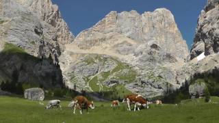 San Nicolò pass and Malga Contrin