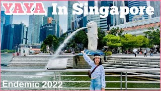 [4K]SINGAPORE MERLION PARK ENDEMIC 2022 DAY TOUR + RIDING DOUBLE DECKER BUS ROAD TRIP / YAYA TRAVEL