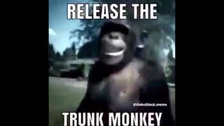 Release the Trunk Monkey