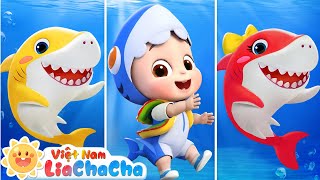 Gia đình cá mập Lia và ChaCha | Baby Shark | Em bé học hát | LiaChaCha Ca Nhạc Thiếu Nhi Việt Nam