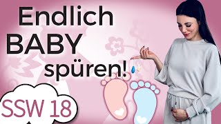 SSW 18: Erste Tritte deines Babys im Bauch | Beckenbodengewichte | Mein Kinderwunsch