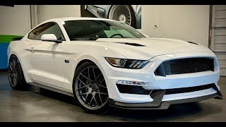 2015 MUSTANG GT PERFORMANCE PACK WALKAROUND!