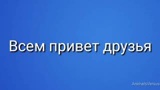 Алабай против немецкой овчарки