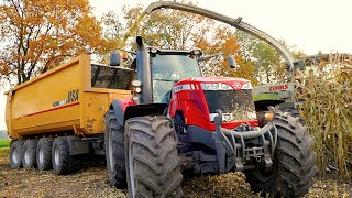 Mais hakselen Van Bakel Dairy 2015 | Claas Jaguar 980, MF 8737, MF 8670, CAT 966M, USA Equipment