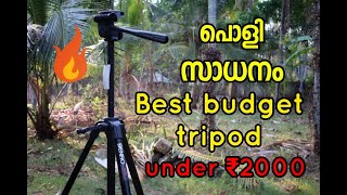 Budget tripod under rs.2000/-