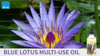 Blue lotus flower oil