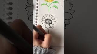 Ayçiçeği Çizimi- Çiçek Çizimi - Draw- Drawing #art #sanat #ayçiçeği #flowers #shorts #tiktokart