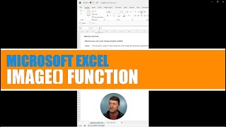 How to use Excels New IMAGE Function