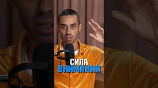 Как формирует реальность фокус внимания? #медитация #сознание #анардримс #боня #квантовоесознание