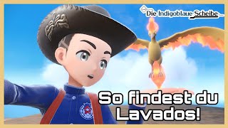 So findest du Lavados - Pokemon Karmesin & Purpur DLC die Indigoblaue Scheibe