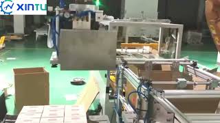 How Our Robotic Case Packer System Improves Efficiency and Safety in Pharmaceutical Packaging？