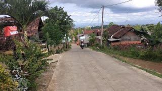 SUNGGUH LUAR BIASA !!! Suasana Desa Yang Indah Dan Sejuk Di Gunung Wilis || Pedesaan Jawa timur