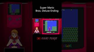 Super Mario Bros. Deluxe Final Stage