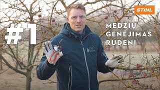 STIHL x Tautvydas Gurskas: #1 Medžių genėjimas rudenį