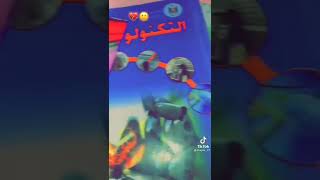 كيف المدرسة والامتحانات معكم 👌