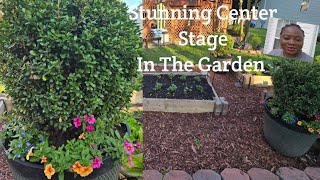 Creating A Stunning Center Stage in the Garden🌺🪷🍁 [ Zone 7B Gardening Waldorf MD.]