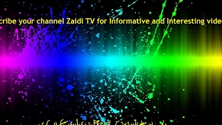 Zaidi TV Live Stream