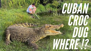 Croc Problems