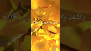 #youtubeshorts #travel #love #beautiful view video viral سورة الرحمن of Allah  you page وستعفر الله