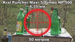 Стрельба по бутылкам на 50 метров из пневматической винтовки Kral Puncher Maxi 3 Jumbo NP-500