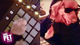 WATCH Doggy DJ Music Video