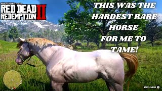 Red Dead Redemption 2 - Rare Horse Location - RDR2