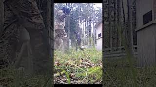 Airsoft Land Mine Test #shorts