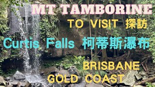 Mt Tamborine Curtis Falls 塔伯林山的柯蒂斯瀑布/在观景台上，游客可以欣赏到壮观的景色并拍摄照片。Brisbane/Gold coast/ 旅遊. 生活旅遊在澳洲第十集