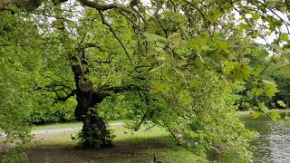 Doğal meditasyon, Schloß Nymphenburg