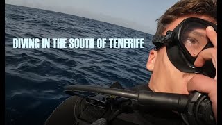 DIVING ON TENERIFE ISLANDS