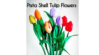 "Pista Shell Tulip Flowers 🌷 Tutorial. Beautiful Flowers made by Pista Shells.m