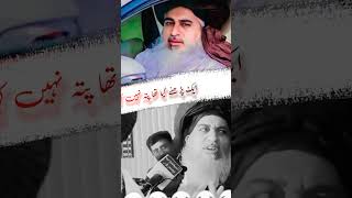 تم ہمین بھی مرواؤ گے ...... | Allama Khadim Hussain Rizvi | TLp 333 #shorts #tlp #khadimhussainrizvi