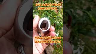 jual badar perak unik natural #shorts#badarperak#unik