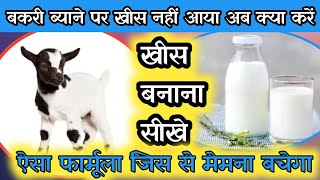 Bakri ब्याने के बाद दूध नहीं आया मेमनो को क्या पिलाये |Bakri Byane Ke Baad Dudh Na Aye |Vimalumrao