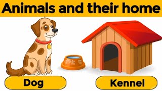 Animals and their home | Kindergarten educational videos | Play School videos