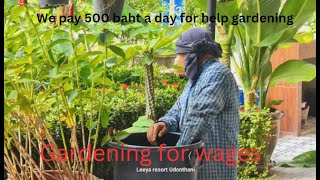 When you get old, who will look after the gardens 500 baht a day solves the problems for me