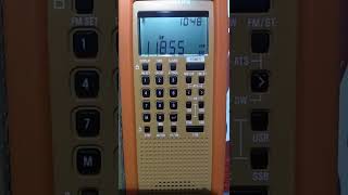 BBC Singapore in English. 11855 kHz (10:48 UTC)