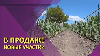 Шикарные участки по вкусной цене в Гостагаевской.