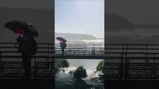 Have you seen this 😳 #waterfalls #bridge #umbrella #rainsounds #subscribe #shorts