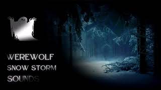 Werewolf Howl in a Creepy Forest Halloween Sounds #halloween #spooky #creepy