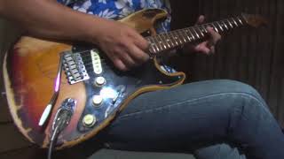 Stevie Vaughan & Double Trouble - Tell Me (Live) guitar cover