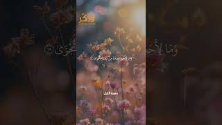 سورة الليل الآيات من 19 إلى 21 بصوت القارئ ماهر المعيقلي #حالات واتس  #quran #shorts