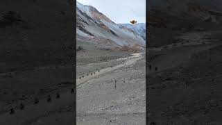 India ladakh trip 🇮🇳#shorts #short #ladakhtrip #travel #shortvideo