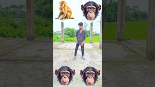 बंदर मामा आए पेंट पजामा ले देखो कुत्ता आया फिर बिल्ली आई monkey cat dog funny VFX viral