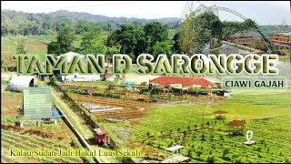 Singgah di TAMAN D'SARONGGE CIAWI GAJAH  Pasundan Cirebon | wisata alternatif | WISATA CIREBON